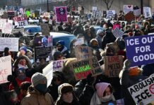 ICE Agents Placed on Leave After Charges Dropped in Minneapolis Shooting Case